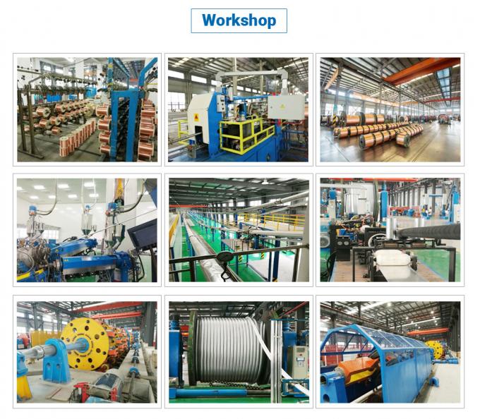 38/66kv 185mm2 Cu/XLPE/Ls/HDPE (PVC) Single-Core Copper/Aluminum XLPE High Voltage Cable with Lead Sheath