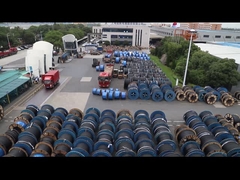 1.5mm SDI Jednokernie Dwukrotnie Wyizolowany Przewód Elektryczny 450/750V PVC/PVC (Czerwony/Biały)